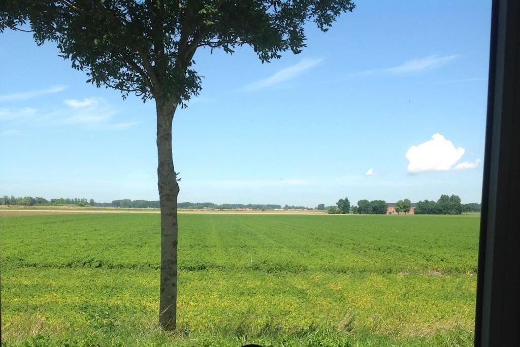 Dijkhuisje Zeeland Waterlandkerkje Exteriör bild
