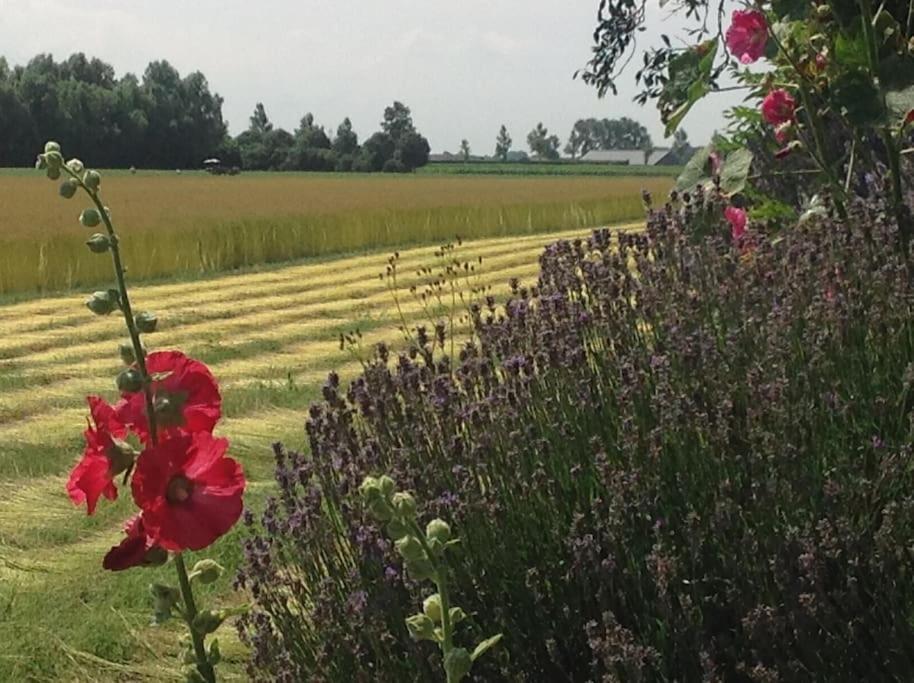 Dijkhuisje Zeeland Waterlandkerkje Exteriör bild