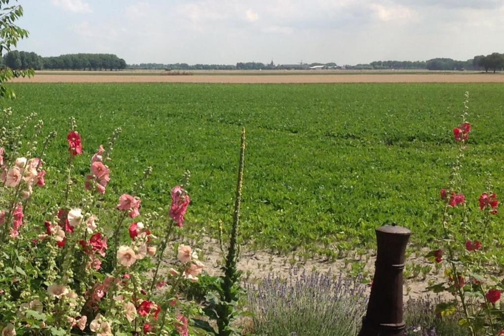 Dijkhuisje Zeeland Waterlandkerkje Exteriör bild