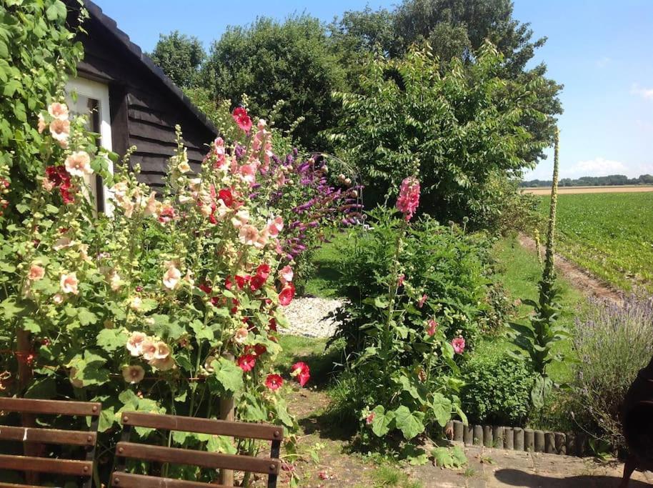 Dijkhuisje Zeeland Waterlandkerkje Exteriör bild